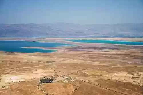 死海里十大恐怖生物(世界最恐怖的鲨鱼)插图1