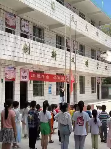 柏林小学阵容(柏林南路小学是重点吗)