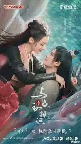 疾风天下阵容(疾风大冒险最强阵容)插图22