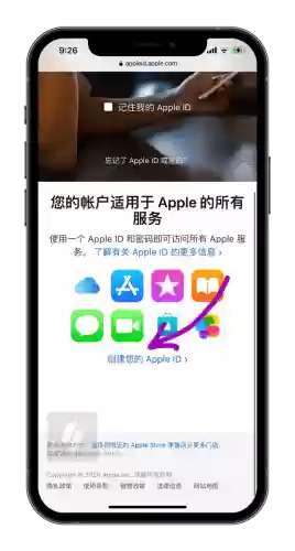 英雄联盟手游网页版(lol手游国际服下载官网)插图1