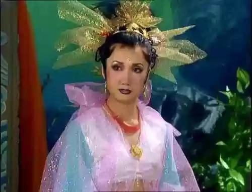 西游记后传明星阵容图(西游记后传全部演员表)插图5