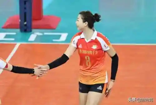 江苏与天津女排阵容(女排八强全部名单)插图4