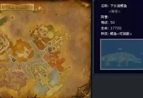 洛克王国宝藏猎人在哪(洛克王国宝藏猎人经验怎么变少了)插图22