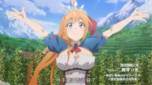公主连结公主佩可莉姆阵容(公主连接pvp阵容搭配)
