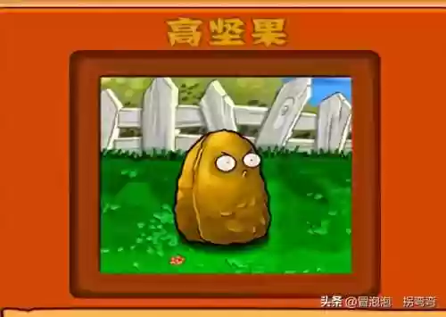 植物大战僵尸经典植物阵容(植物大战最佳阵容攻略)插图11