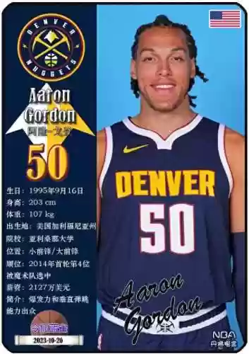 历年掘金队阵容(辽宁男篮历史所有队员)