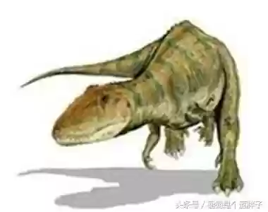 食肉恐龙前30排名(方舟食肉恐龙排行榜)插图3