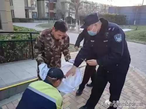协同孔雀阵容(孔雀明王就业阵容搭配)插图1