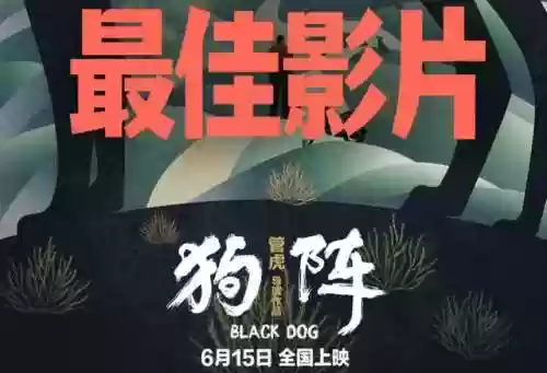 影片阵容豪华(明星阵容最豪华的电影)插图2