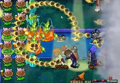 挑战无输出植物过关阵容(打无尽挑战最好的植物)插图2