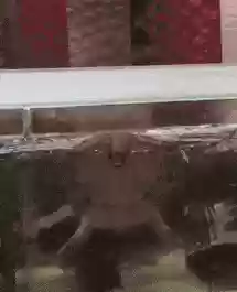 逗比搞笑图片(怎么在手机上玩逗比危机)插图7