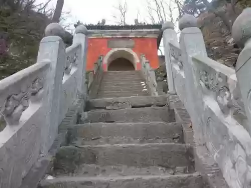我在武当睡十年(武当睡十年最新章节内容)插图59