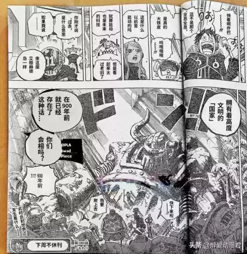海贼王900集国语版卡通站(海贼王角色介绍)插图16