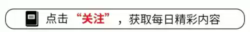 破浪哥哥阵容(无尽挑战阵容搭配)