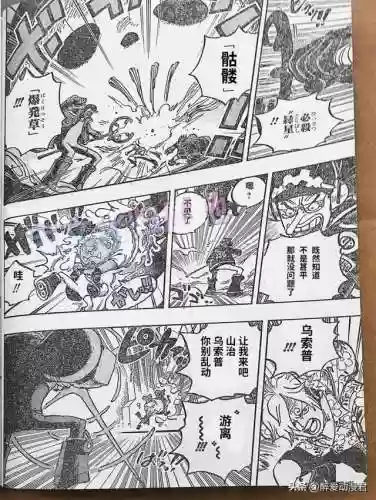 海贼王900集国语版卡通站(海贼王角色介绍)插图9