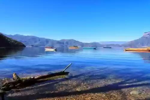 十大好看手机壁纸(壁纸app排行榜前十名)插图4
