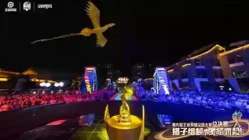 王者荣耀全国大赛(王者荣耀皮肤宝箱)插图5