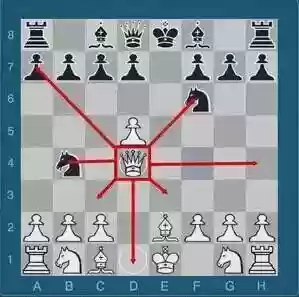 国际象棋教程(国际象棋3d战斗版)插图11