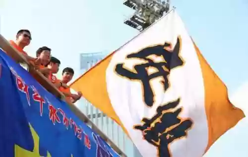 安徽力天阵容(三国志战略版t0阵容排名)