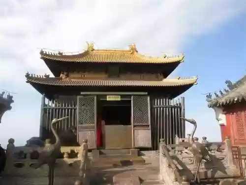我在武当睡十年(武当睡十年最新章节内容)插图85
