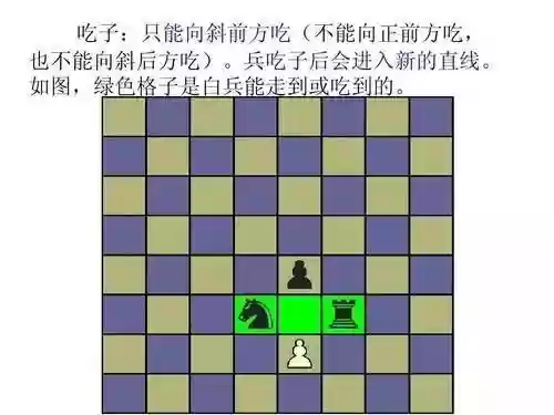 国际象棋教程(国际象棋3d战斗版)插图19