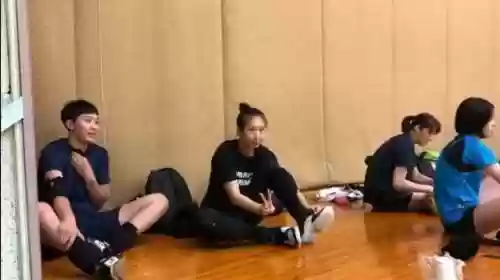 东丽箭女排阵容(中国女排最强阵容名单)