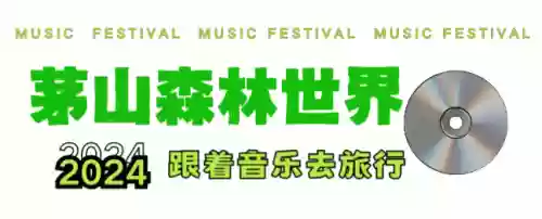 森林秘境冒险队后期阵容(王牌探险家阵容推荐)插图13