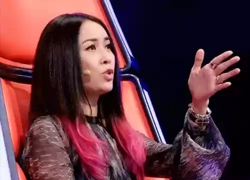 中国好声音4强阵容女选手(中国好声音四大美女)插图2