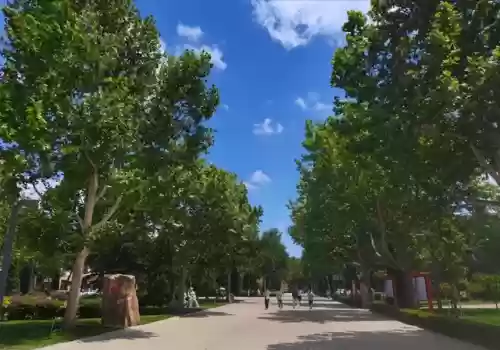 南山派阵容(六道之门香行域阵容)插图4