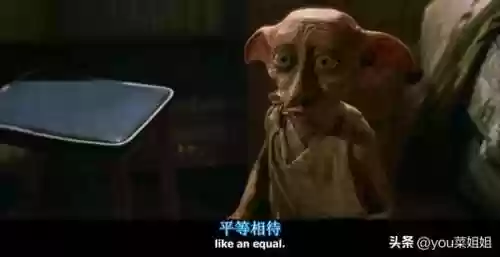 精灵巫师阵容(精灵训练师阵容搭配)
