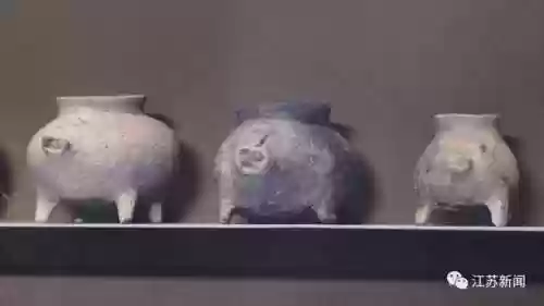 神兽是什么意思(神兽在家文案幽默句子)插图7
