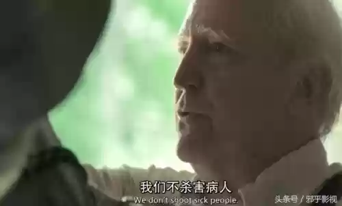行尸走肉第二季电视剧(行尸走肉第十二季免费高清)插图16