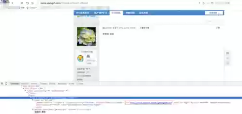 藏宝湾论坛网(藏宝湾网游单机站)插图13