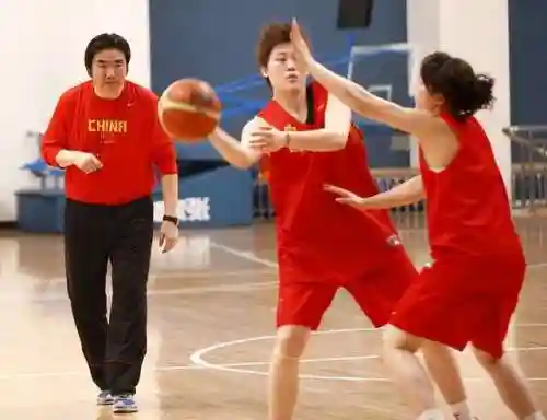 精狮篮球 阵容(篮球五小阵容怎么打)插图17