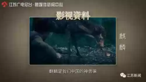 神兽是什么意思(神兽在家文案幽默句子)插图5