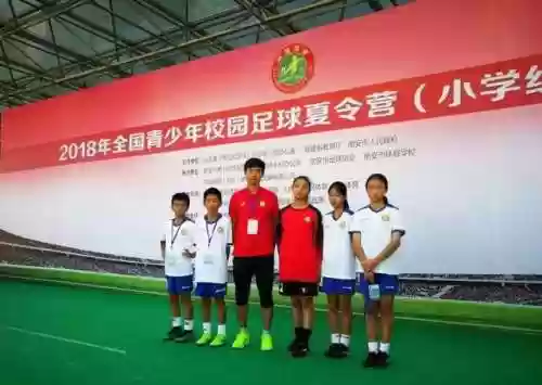 最佳阵容证书给谁先用(英雄训练师平民最佳阵容搭配)插图1