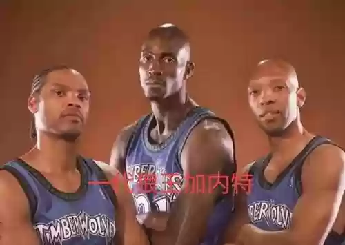 老狼王阵容(闪烁之光狼王怎么配阵容)