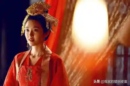 三国人妻妾阵容攻略(三国娶妻纳妾游戏)