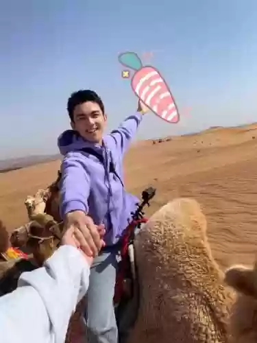 亲爱的客栈3豪华阵容搭配(亲爱的客栈第三季免费)插图9