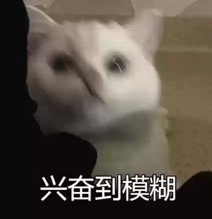 豪华阵容演出(十周年明星表演赛阵容)