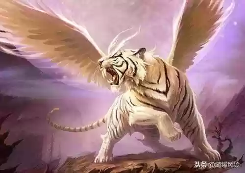 108只神兽大全(宝可梦98只神兽图片)插图117