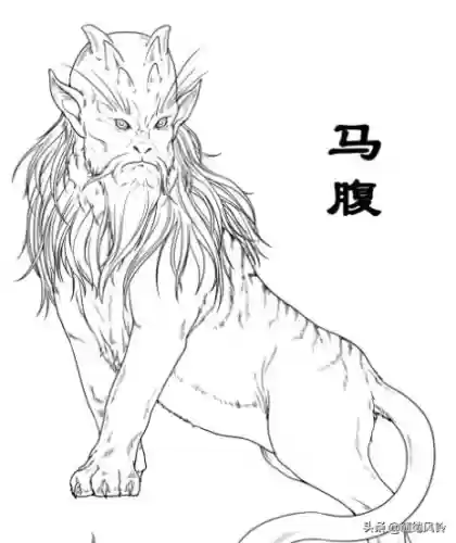 108只神兽大全(宝可梦98只神兽图片)插图56