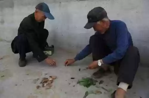 下棋乡村阵容(王者自走棋阵容推荐)插图1