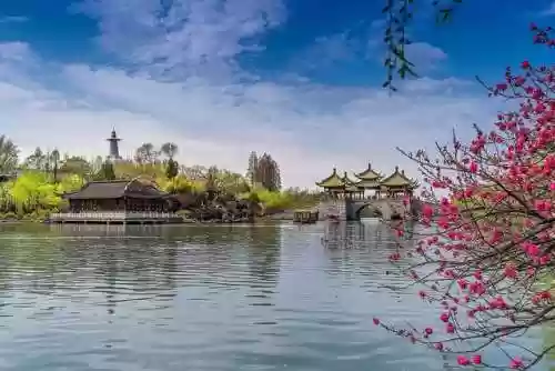 苍莽赛季阵容(王者模拟战最新阵容)插图1