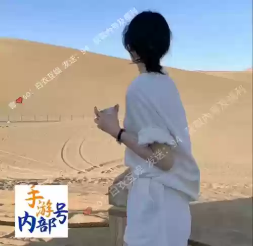 手游联盟守望者最强阵容(守望黎明最新英雄阵容表)