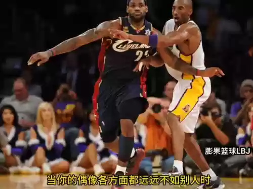 詹姆斯总决赛8连冠阵容(13年热火夺冠阵容)插图2