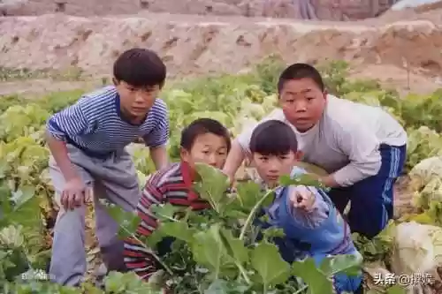 水浒少年阵容(全民水浒最强阵容第一)