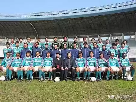 深圳金鹏队阵容(深圳男篮名单)