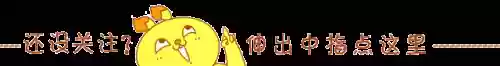 奇葩队友阵容(王者恶心的二人奇葩阵容)