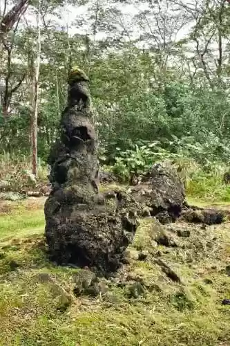 熔岩大树阵容(屋顶困难模式最佳阵容)插图3